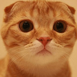 优途加速器网名